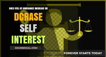 Veil of Ignorance: Boosting or Curbing Self-Interest in Decision-Making?