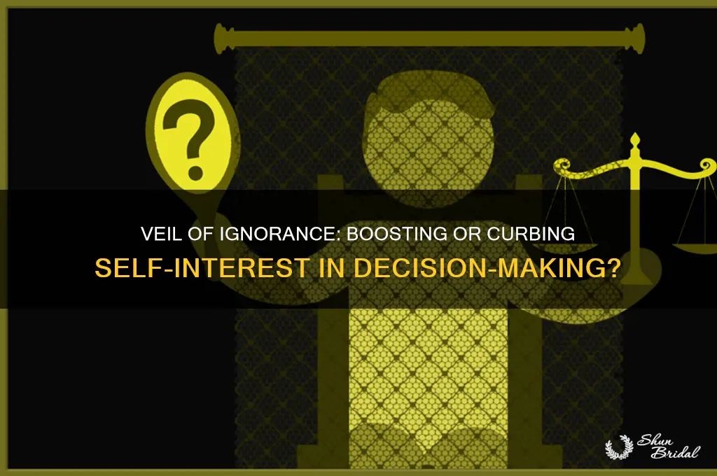 does veil of ignorance increase or dcrase self interest