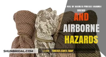 Veil of Secrets: Effective Protection Against Diseases and Airborne Hazards?