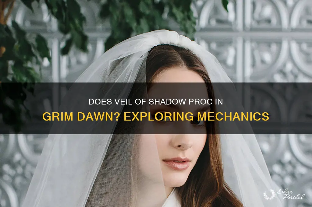 does veil of shadow proc grim dawn