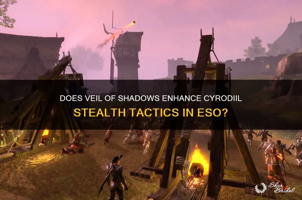 does veil of shadows work in cyodrill