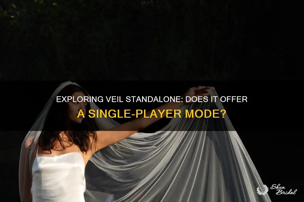 does veil standalone have single player