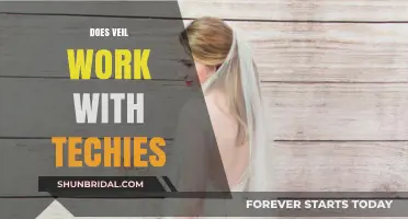 Does Veil Work with Techies? Exploring Compatibility and Practical Applications