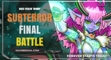 Veiler vs. Subterror Final Battle: Which Card Dominates the Duel?