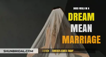 Veils in Dreams: Unveiling the Symbolism of Marriage and Beyond
