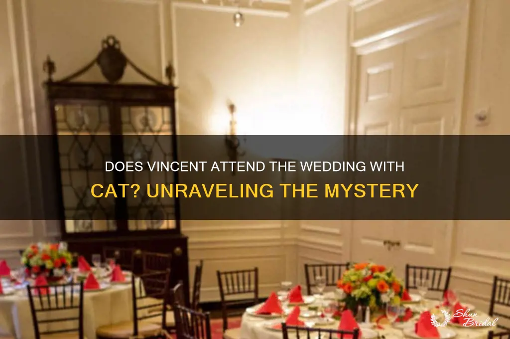 does vincent go to the wedding with cat