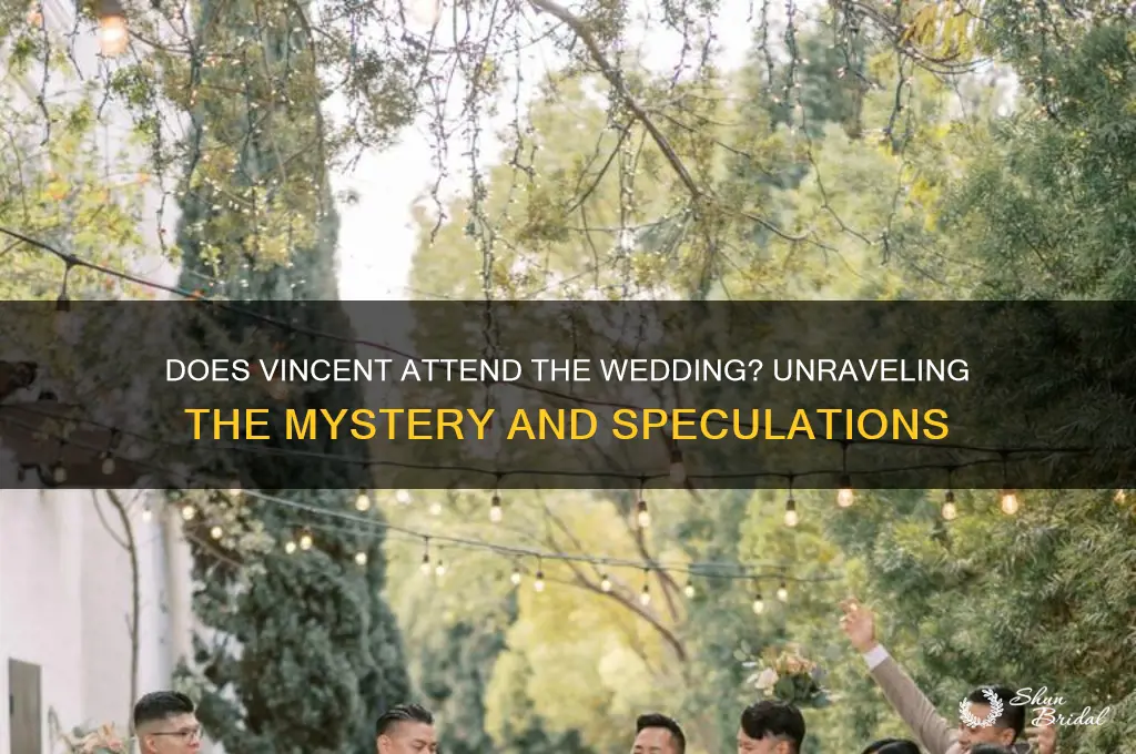 does vincent go to the wedding