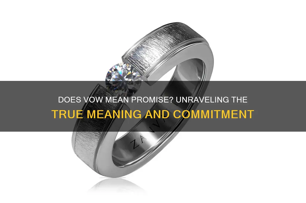 does vow mean promise