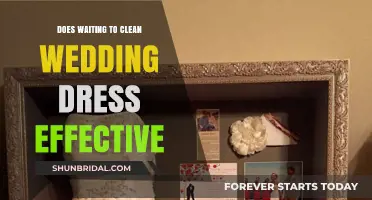 How Long Can You Wait to Clean Your Wedding Dress?