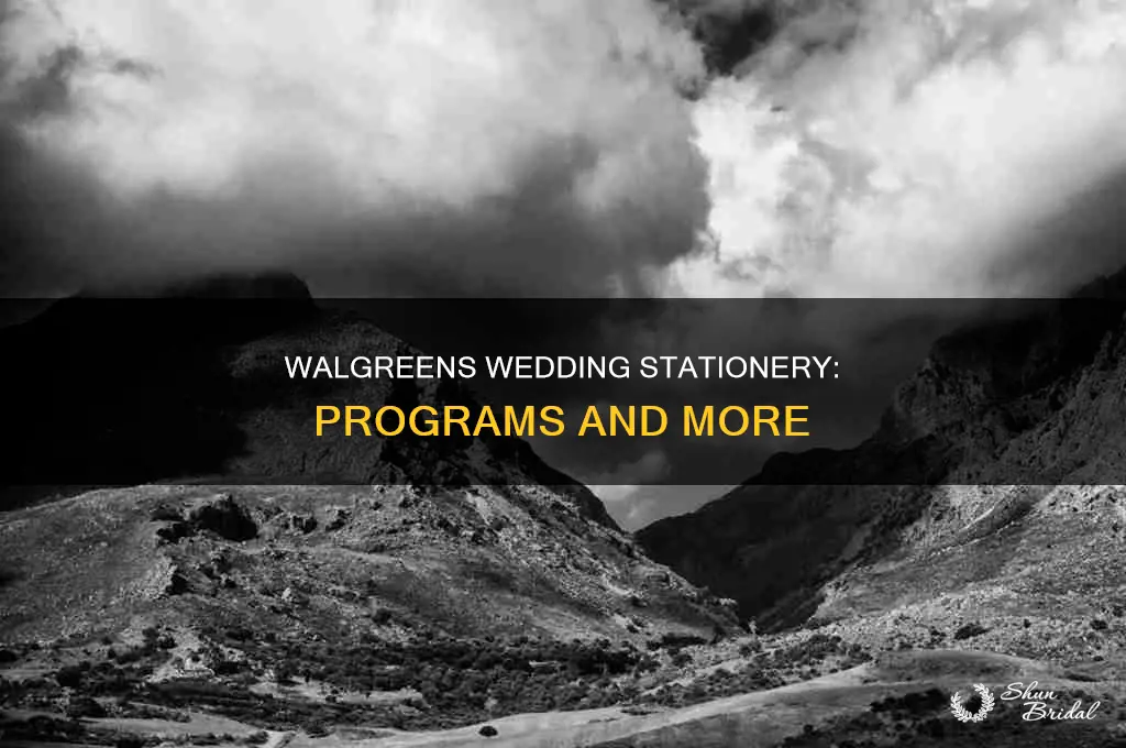 does walgreen print wedding programs