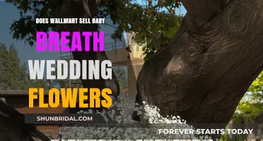 Baby's Breath Wedding Flowers: Buy at Walmart?