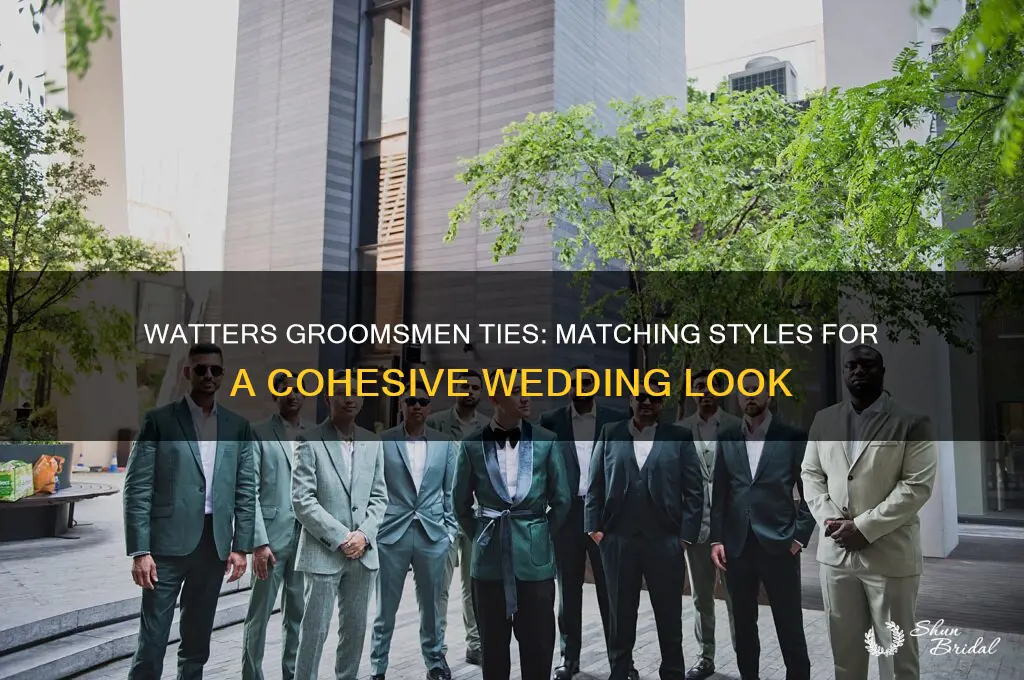 does watters have matching groomsmen ties