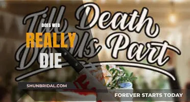 The Mystery of Wed's Death: Is it Real?
