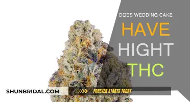 Wedding Cake Strain: High THC Content Explored