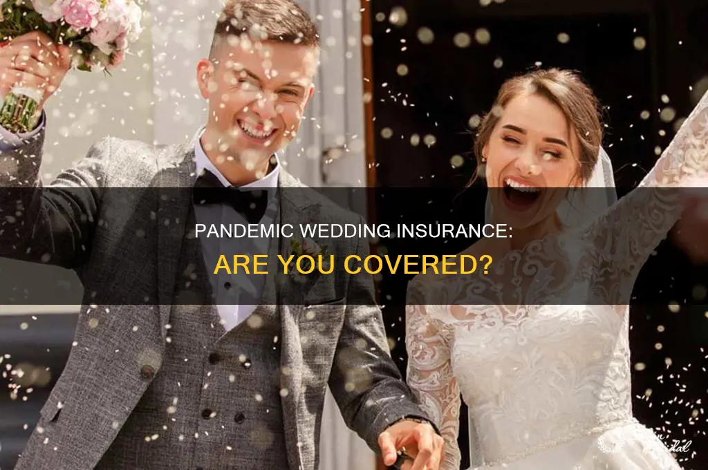 does wedding insurance cover a pandemic