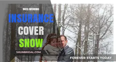 Winter Wedding Insurance: Snow-Related Claims Covered?