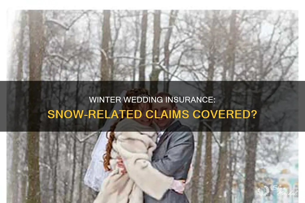 does wedding insurance cover snow