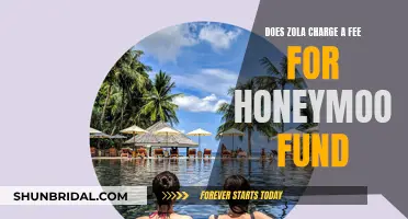 Zola's Honeymoon Fund: Unveiling the Cost Structure