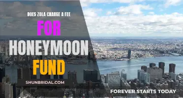 Zola's Honeymoon Fund: What's the Cost?