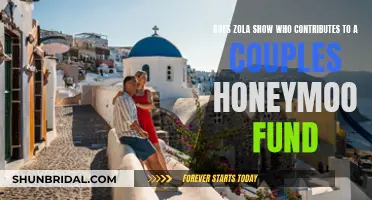 Zola's Honey Fund: Who's Really Paying for the Honeymoon?