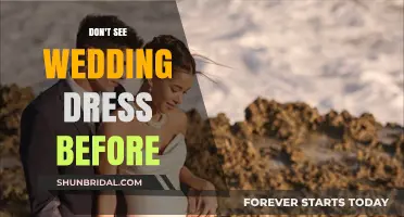 The Mystery of the Wedding Dress