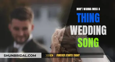 The Perfect Wedding Song: Don't Wanna Miss a Thing