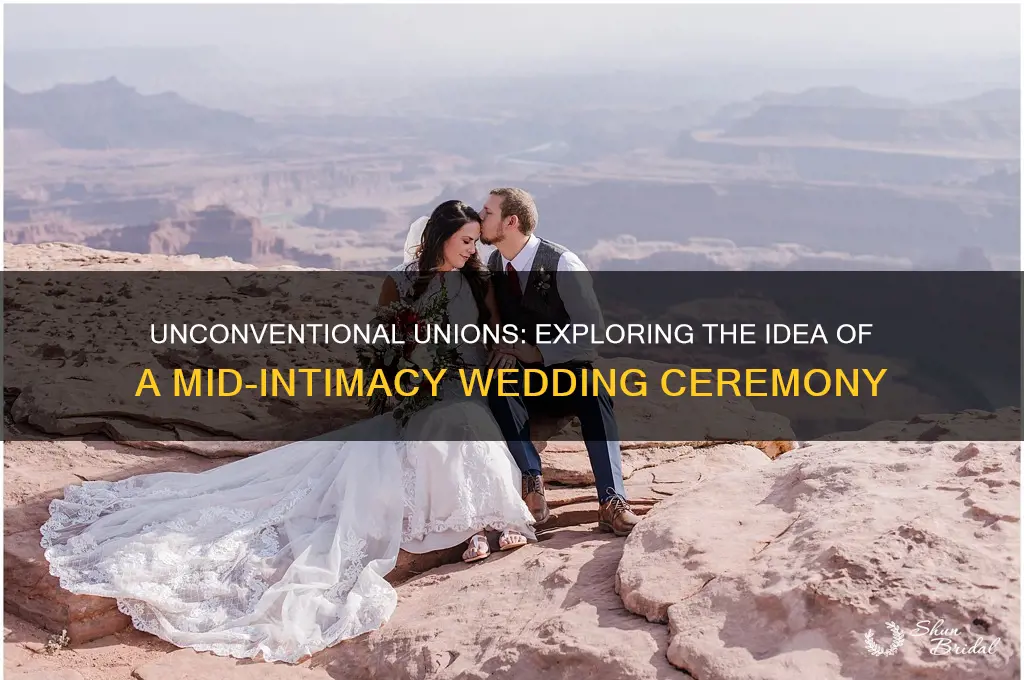 has anyone ever had a wedding ceremony while having sex