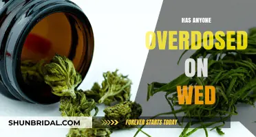 Weed Overdose: Is It Possible and What Are the Risks?