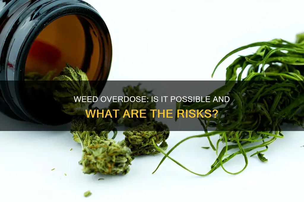 has anyone overdosed on wed