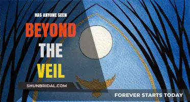 Beyond the Veil: Unveiling Mysteries and Exploring the Unseen Realms