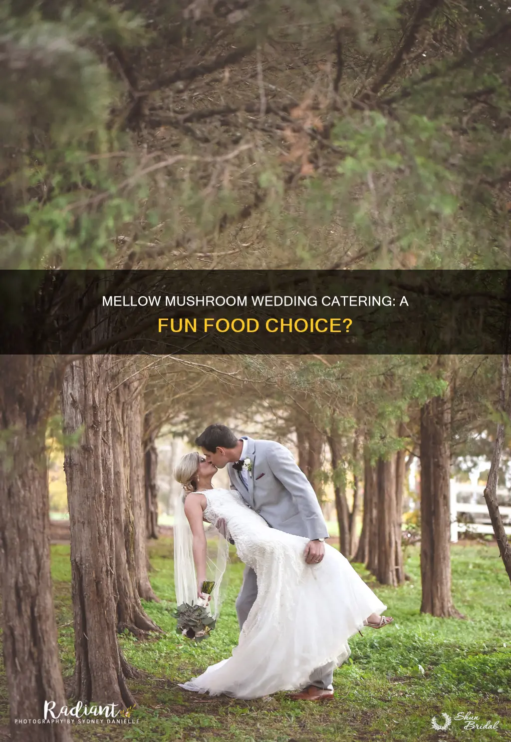has anyone used mellow mushroom for wedding food