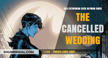 Catwoman and Batman: Reconciling After the Cancelled Wedding?