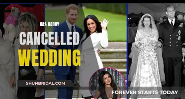 Harry's Wedding: Cancelled or Cold Feet?