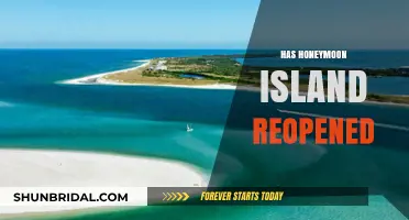 Honeymoon Island Reopens: What Visitors Need to Know Now
