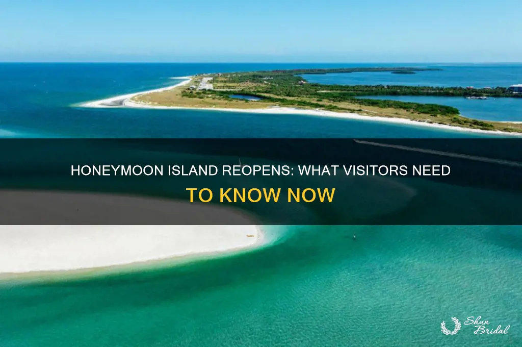 has honeymoon island reopened