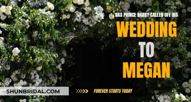 Harry and Megan: Wedding Off?