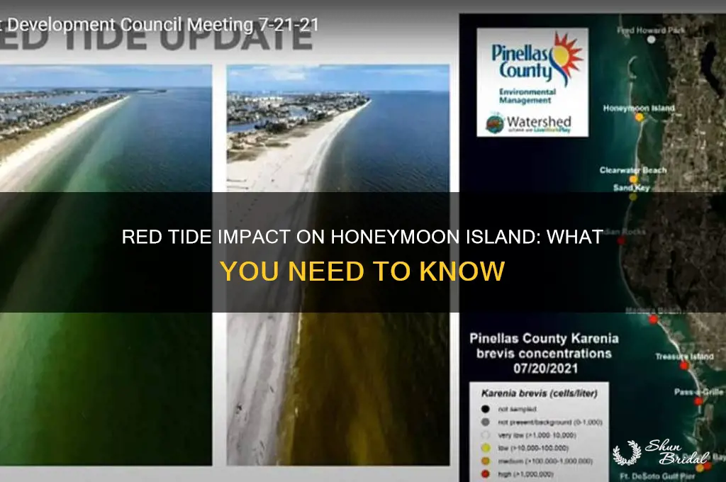 has red tide affected honeymoon island