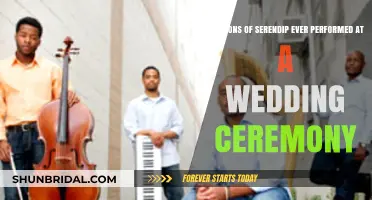 Sons of Serendip: Wedding Performances and Musical Magic Explored