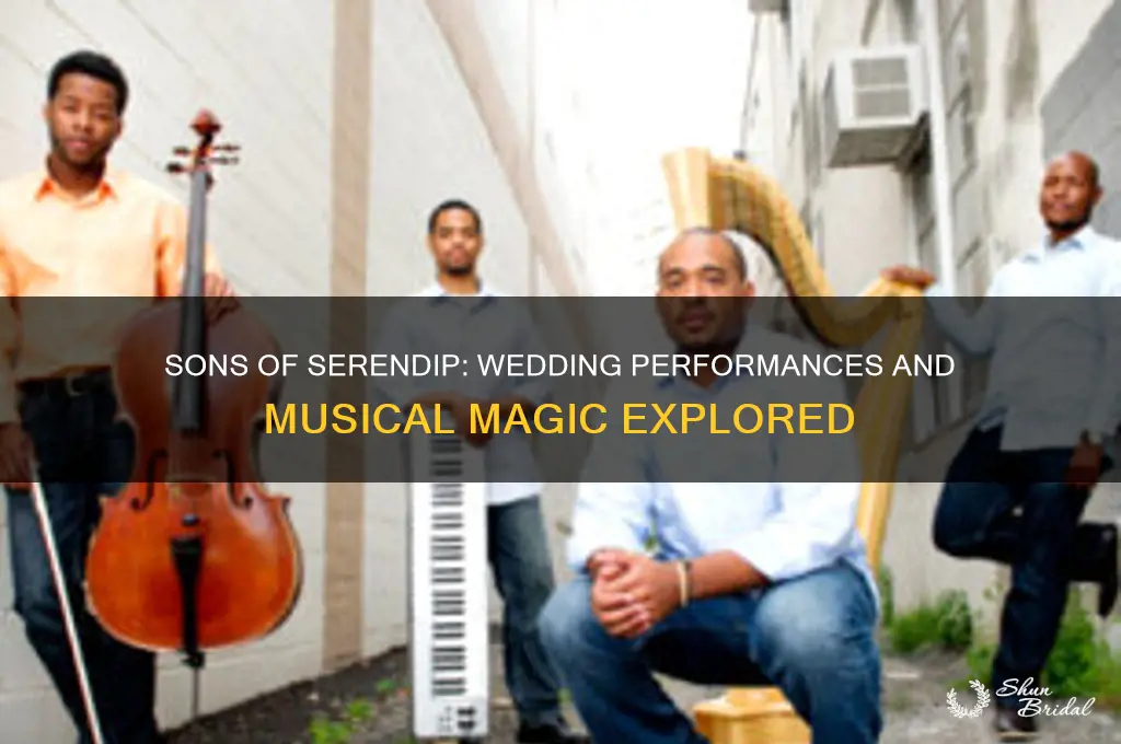 has sons of serendip ever performed at a wedding ceremony