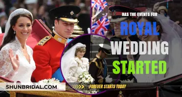 Royal Wedding Festivities Begin: A Look at the Ongoing Celebrations