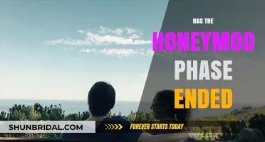Has the Honeymoon Phase Ended? Signs and Strategies to Rekindle the Spark