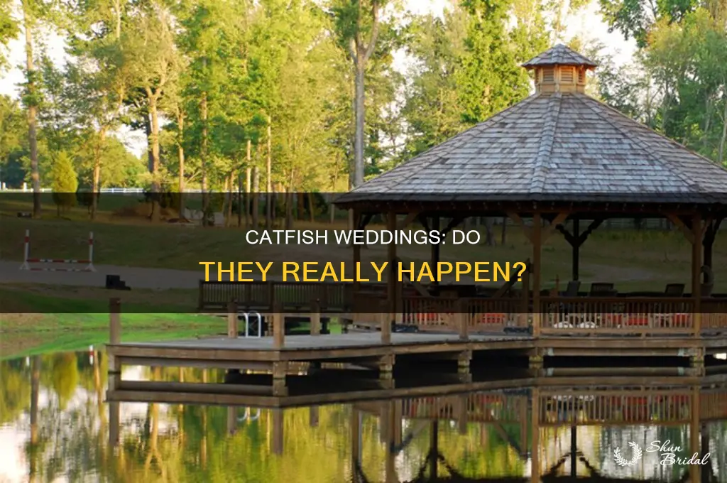 has there been a catfish wedding