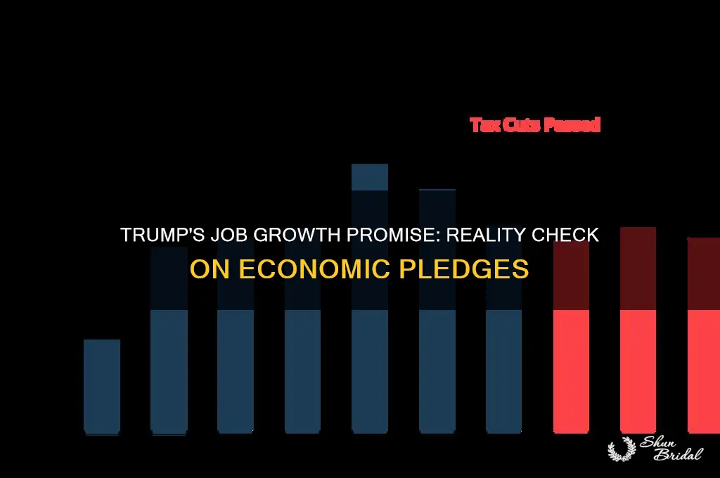 has trump fulfilled vow for job growth