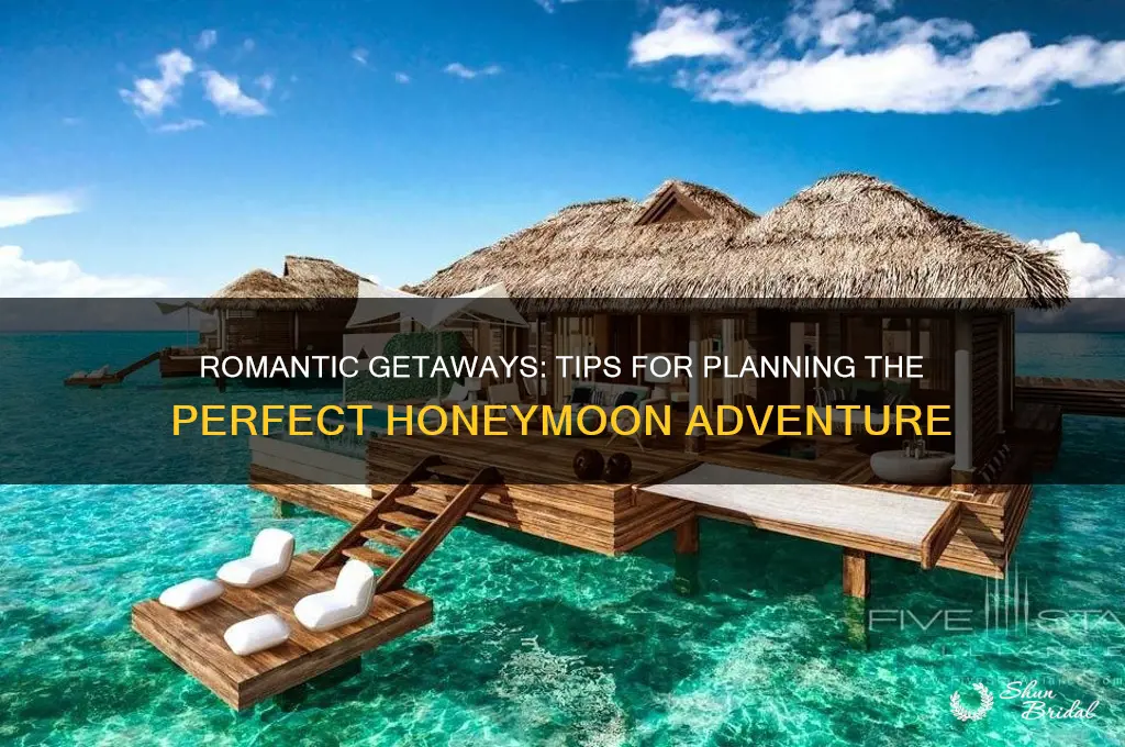 have a good honeymoon