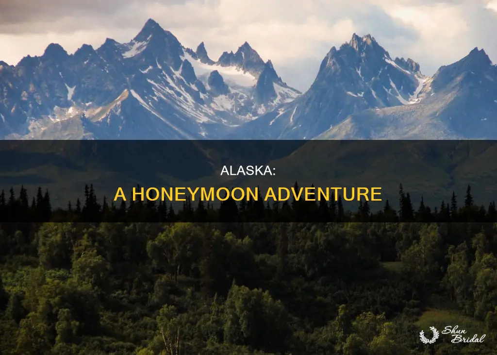 have a great honeymoon in alaska