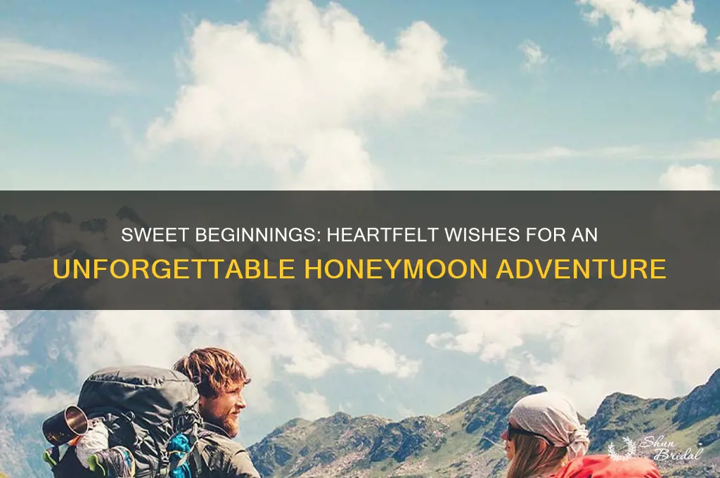 have a great honeymoon wishes
