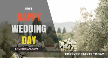 Celebrate Love: Tips for a Joyful and Stress-Free Wedding Day