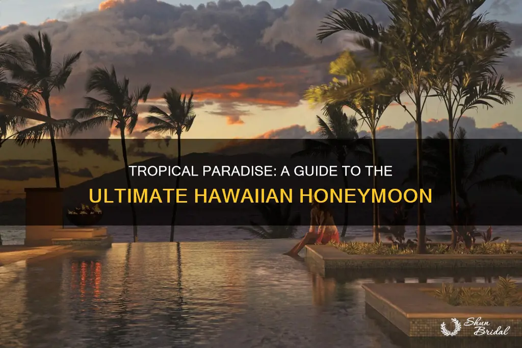 have a hawaiian honeymoon for 5000