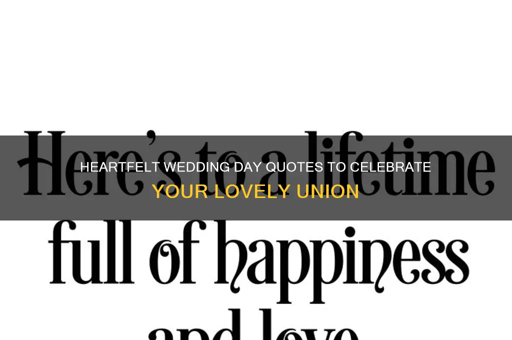 have a lovely wedding day quotes