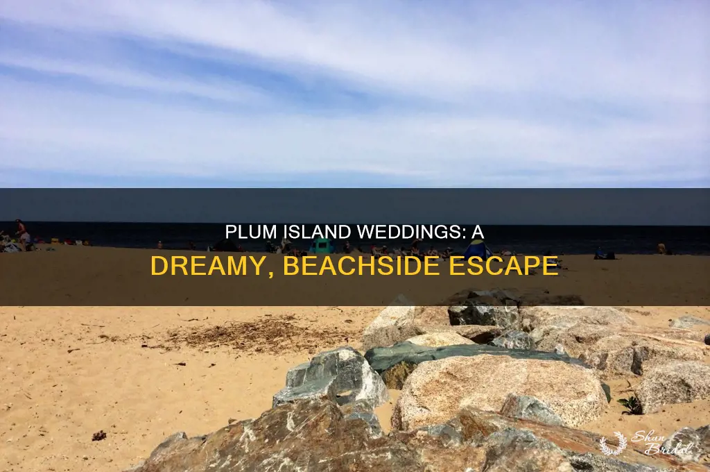 have a wedding on plum island